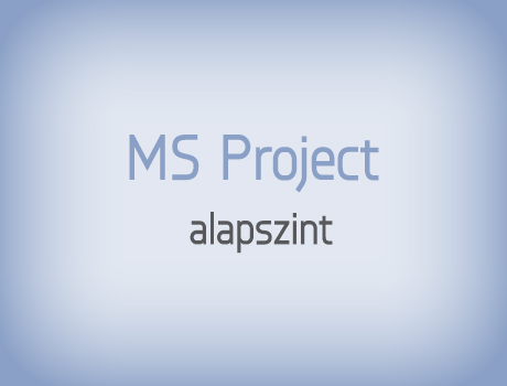 MS Project_alap_450x360.jpg